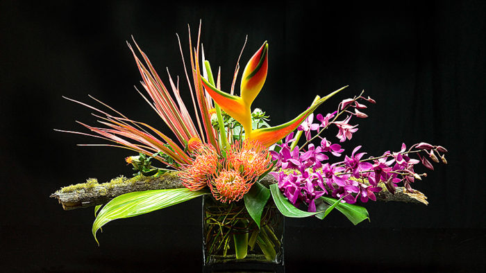 Flowers That Pack a Tropical Punch