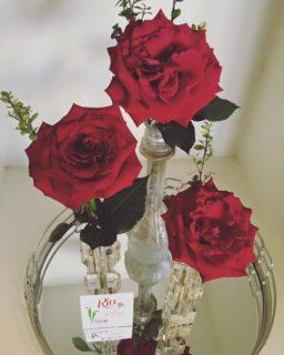 Corazon roses day 7