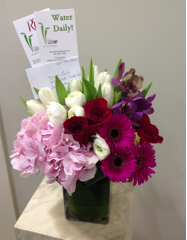 Lilium arrangement with care card and Rio Rose information card attached