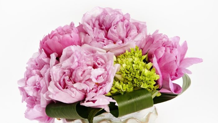 Partial to Peonies