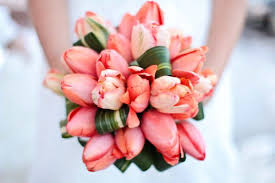 Bridal bouquet of coral tulips