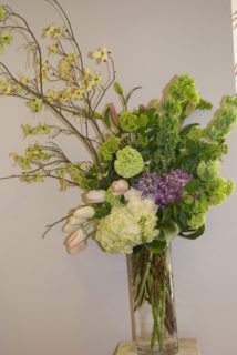 Dogwood Branches