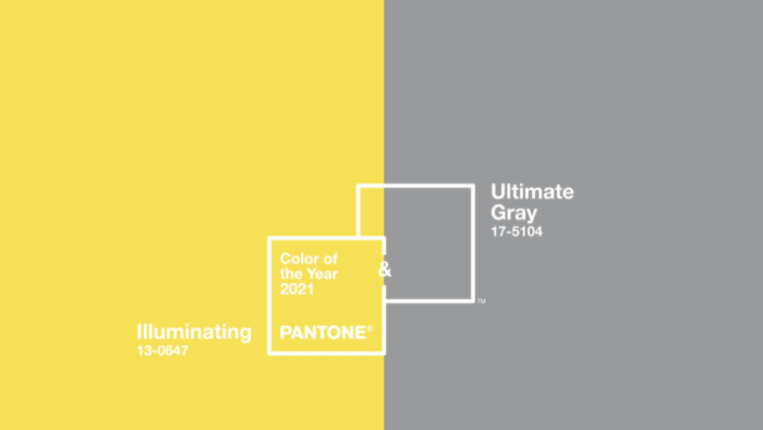 Pantone Institute Again Selects Two Colors For 2021 Color of the Year