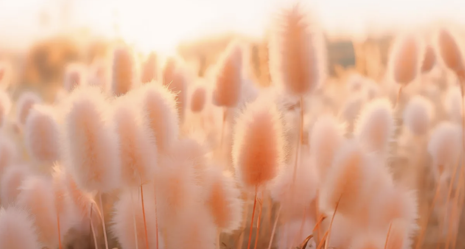 Screen-Shot-2023-12-12-at-11.